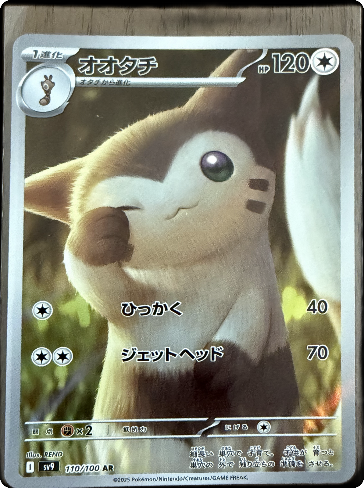 Furret