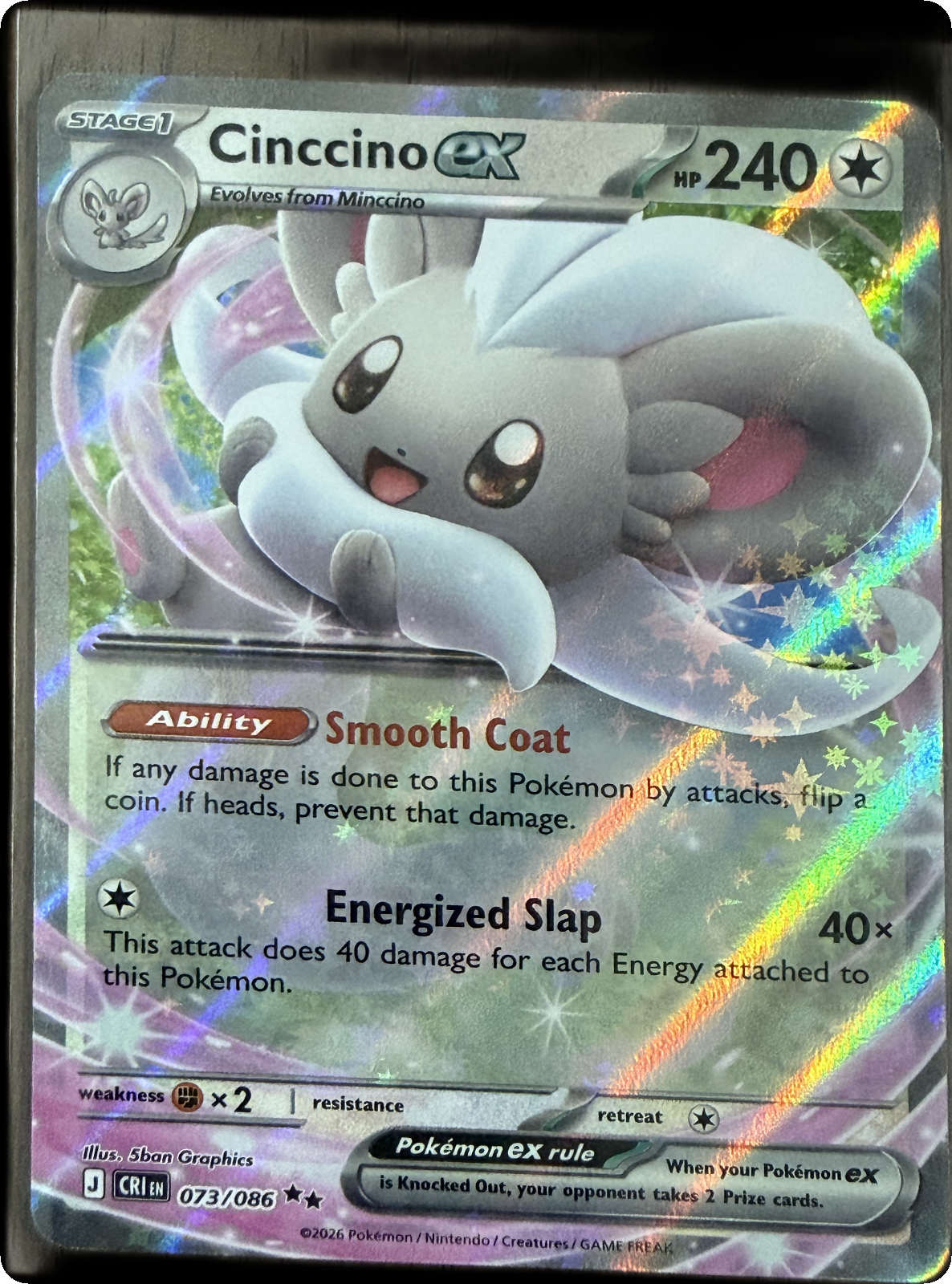 Cinccino ex